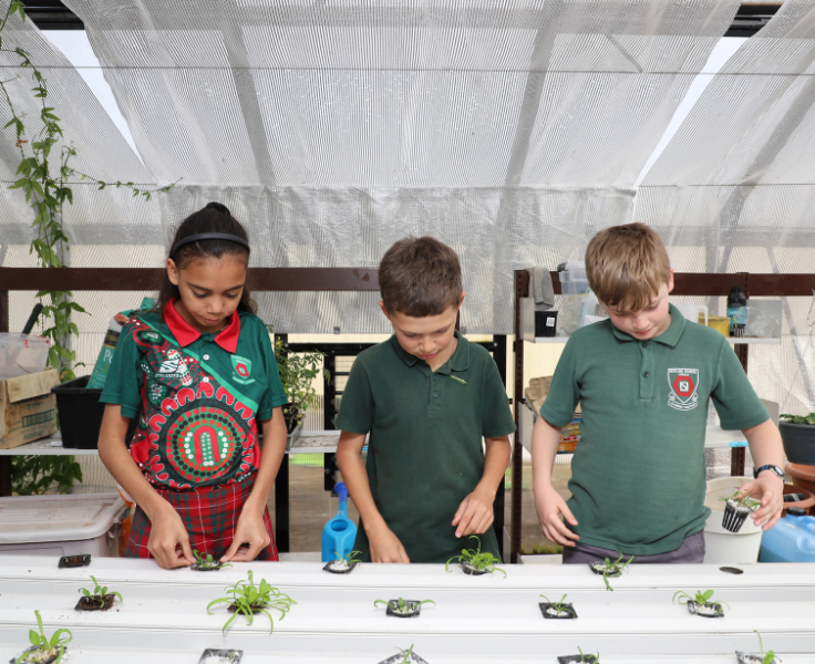 A photo of three students inside our greenhouse. The colour of the greenhouse is white and the students have rows of small green plants in front of them.