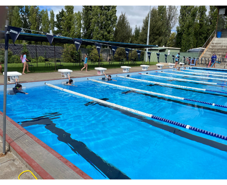 A picture of students about to start racing at our swimming carnival.